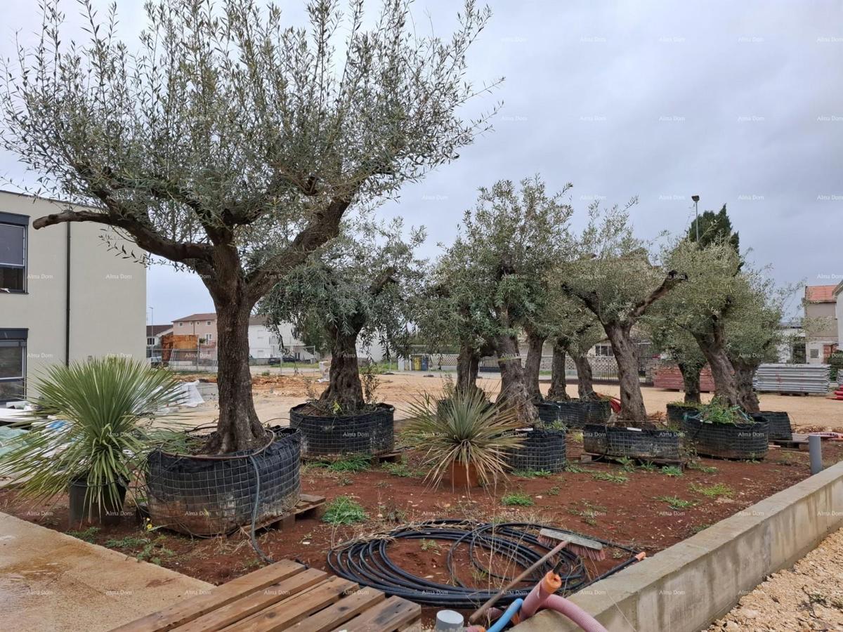 Edificio Residenziale-Commerciale – Monolocale S102