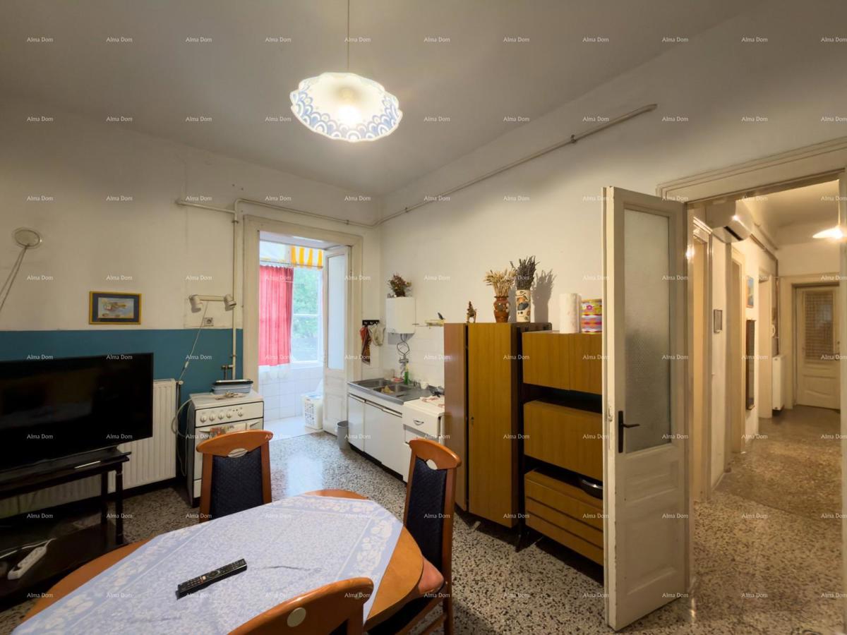 Grande appartamento nel centro di Pola!