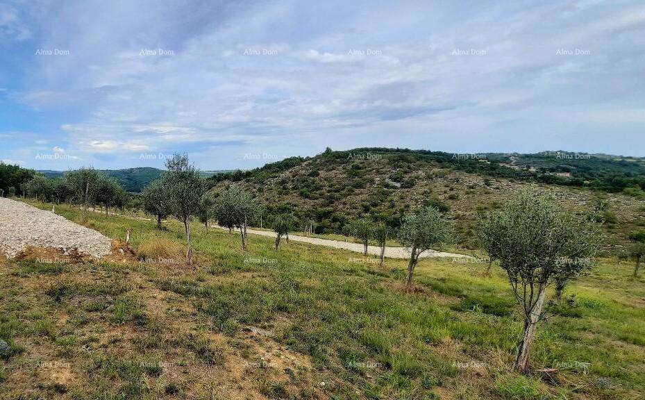 Momjan – vendita di terreni edificabili in ottima posizione.