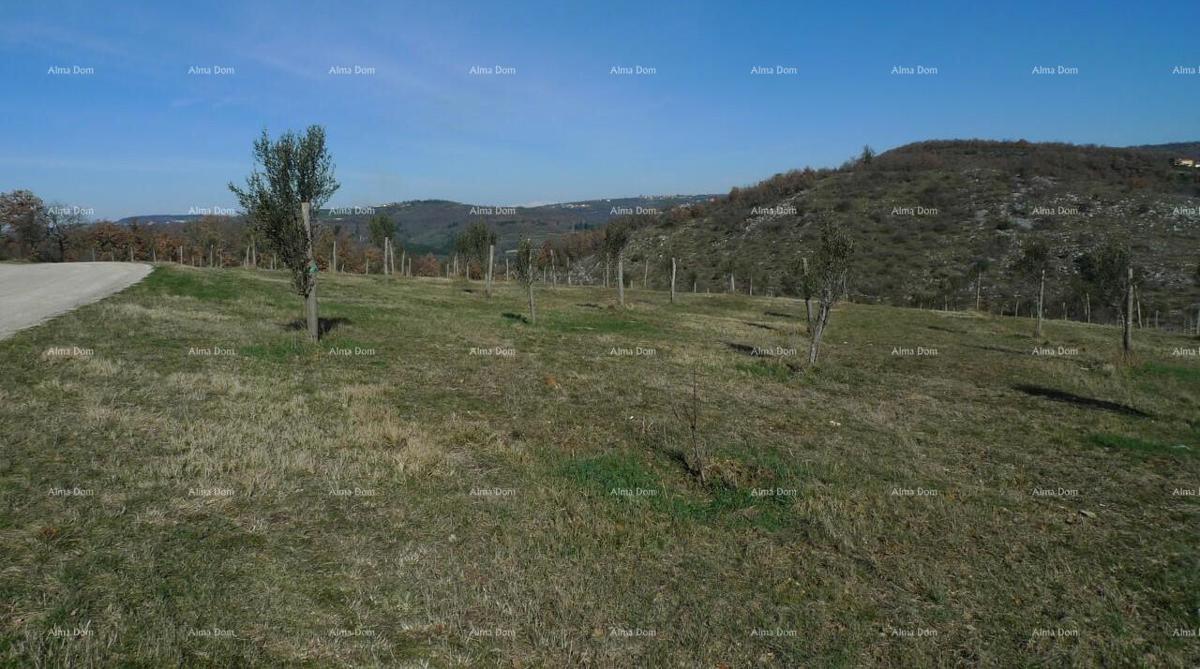 Momjan – vendita di terreni edificabili in ottima posizione.