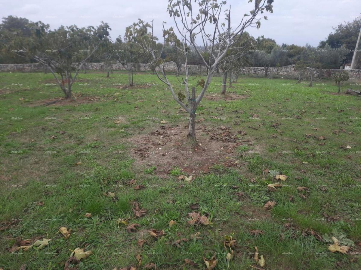 Marčana – terreno edificabile di 2102 m²