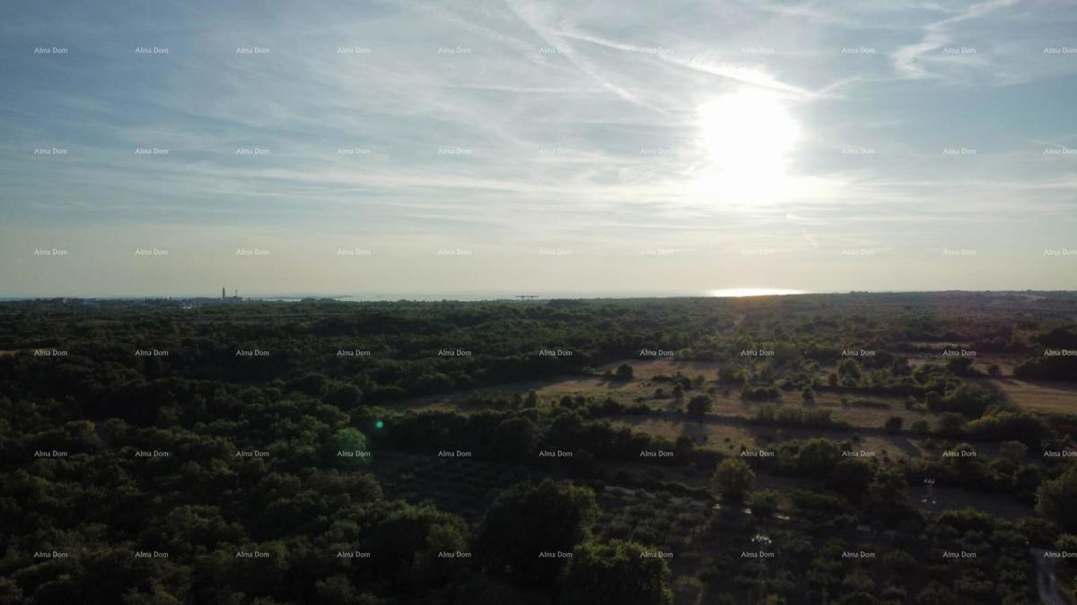 Vodnjan – terreno edificabile e agricolo di 8000 m²