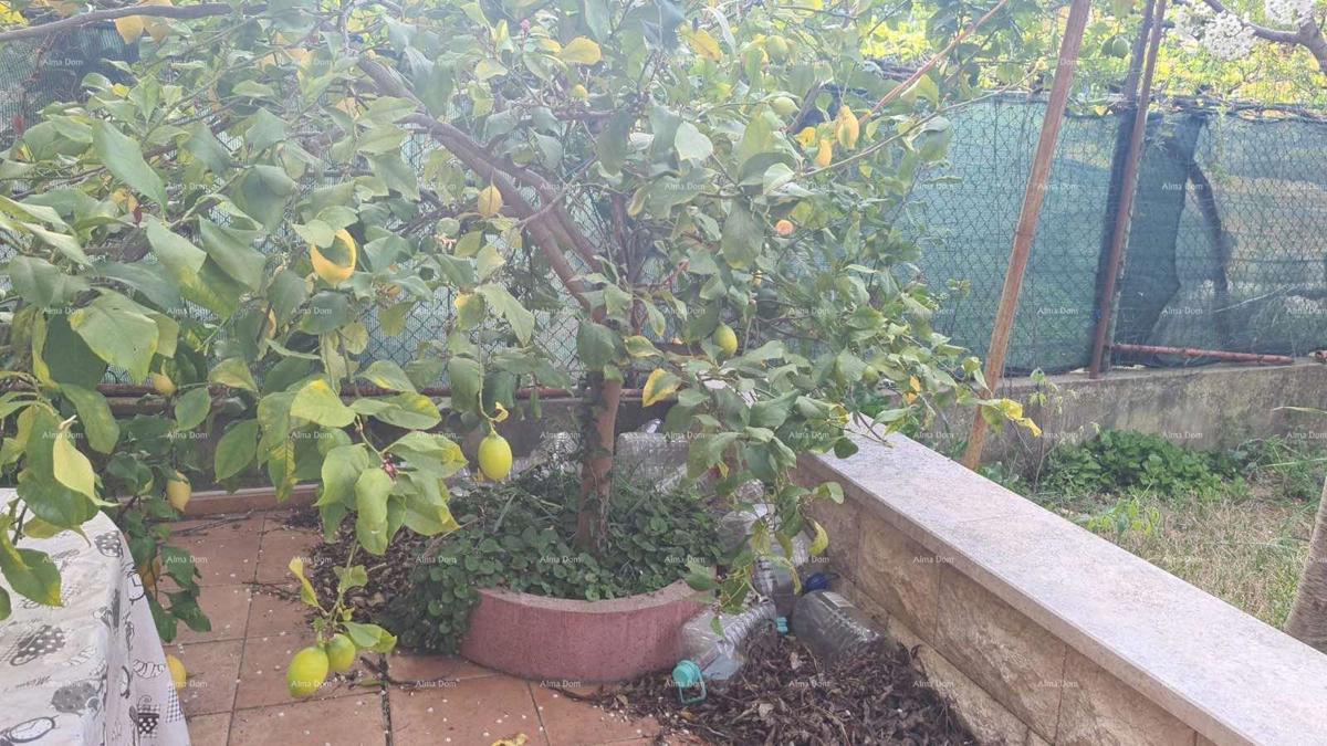 Stan al piano terra con giardino, Pula (67,52 m²)