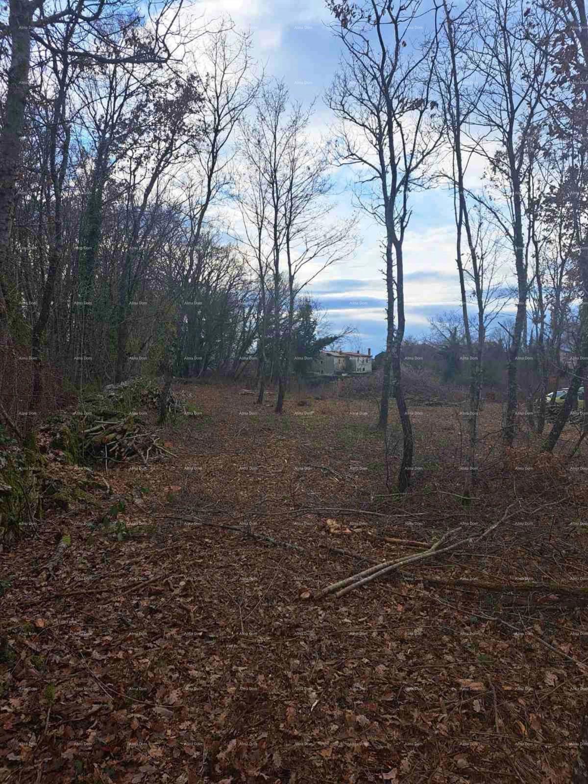 Terreno edificabile 1150 m², Kringa, Tinjan