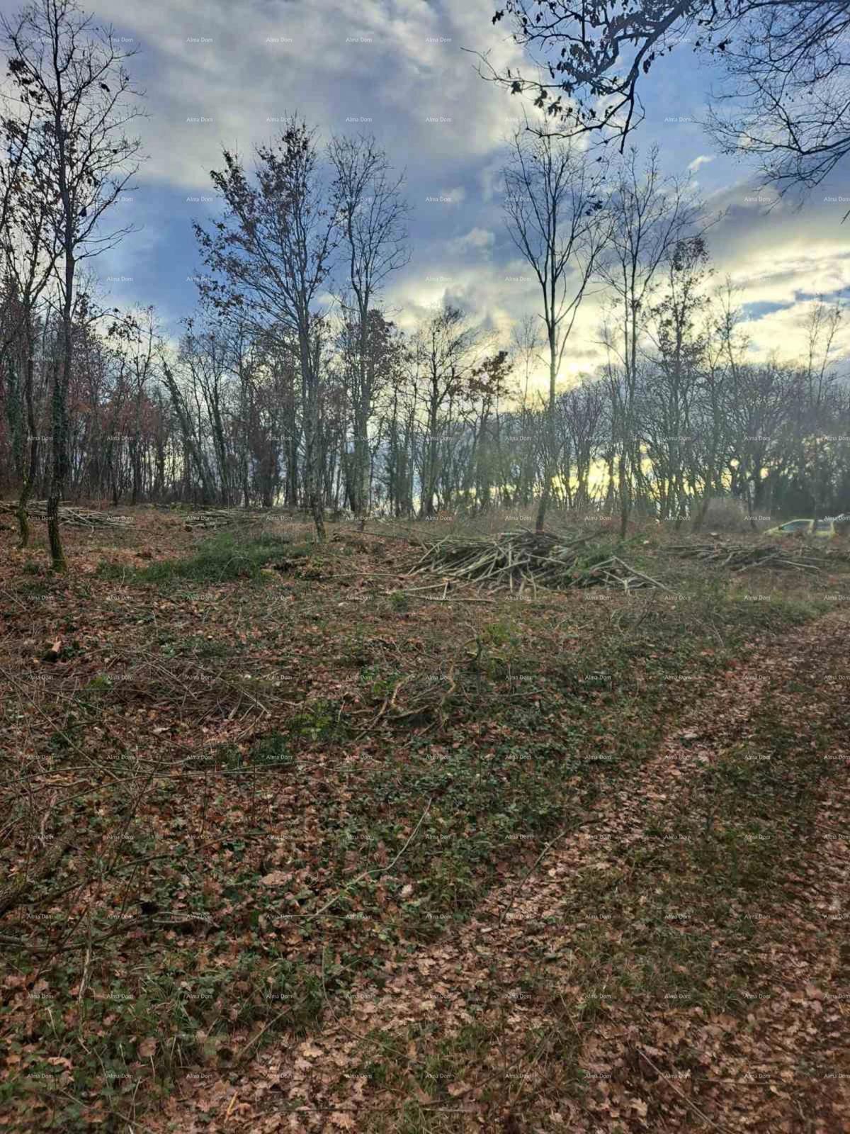 Terreno edificabile 1150 m², Kringa, Tinjan