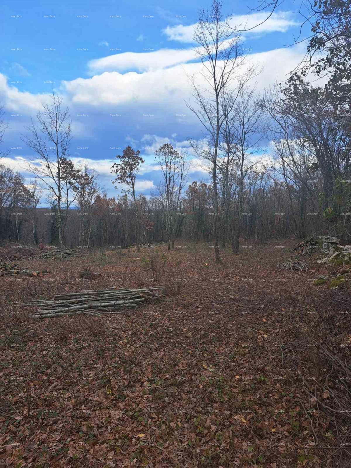 Terreno edificabile 1150 m², Kringa, Tinjan