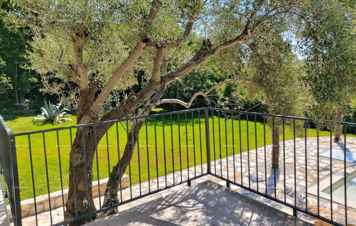 UMAG – Casa con piscina e tre appartamenti separati