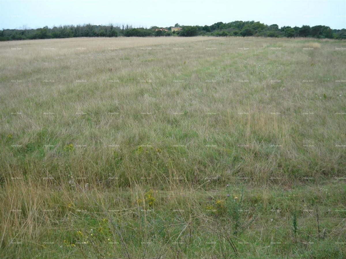 Jadreški, Vendesi terreno agricolo di 21.870 m²