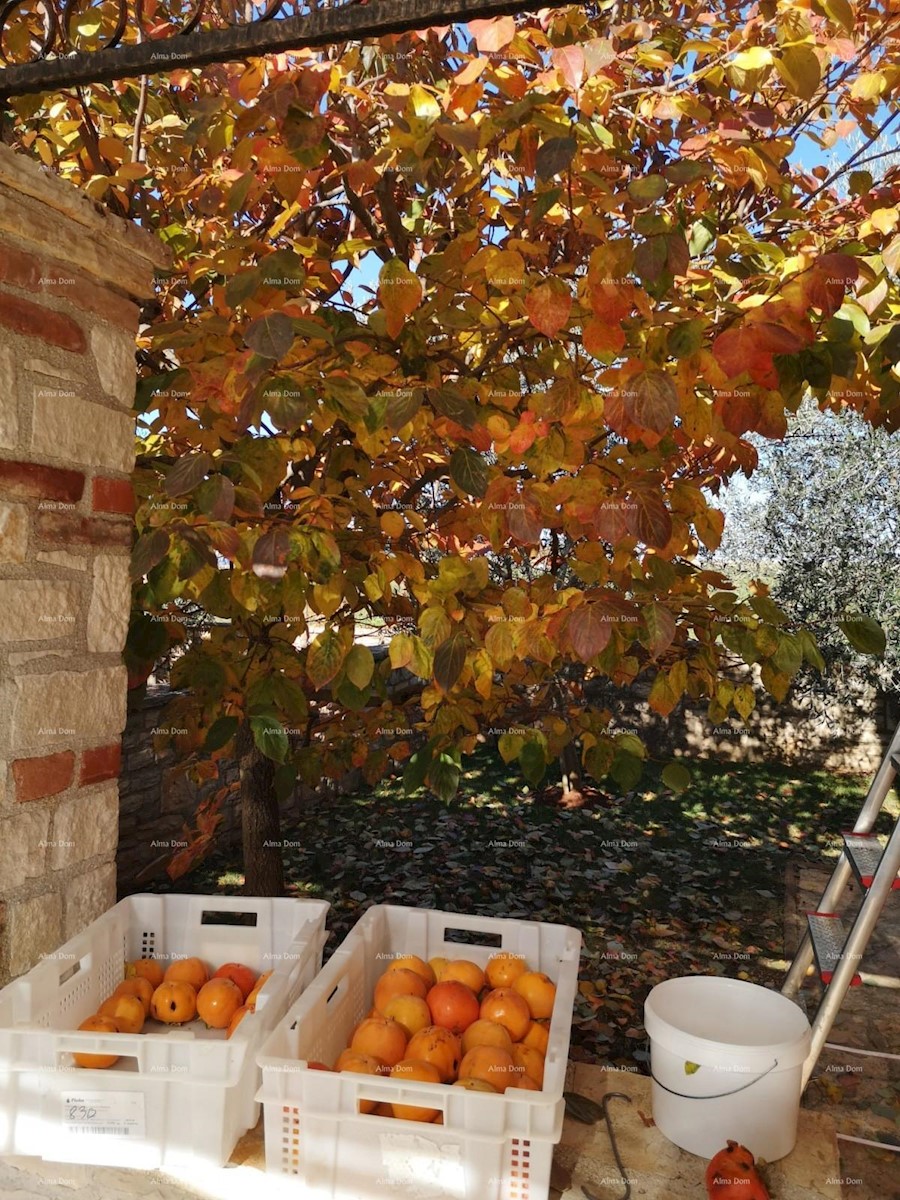 Casa Poreč