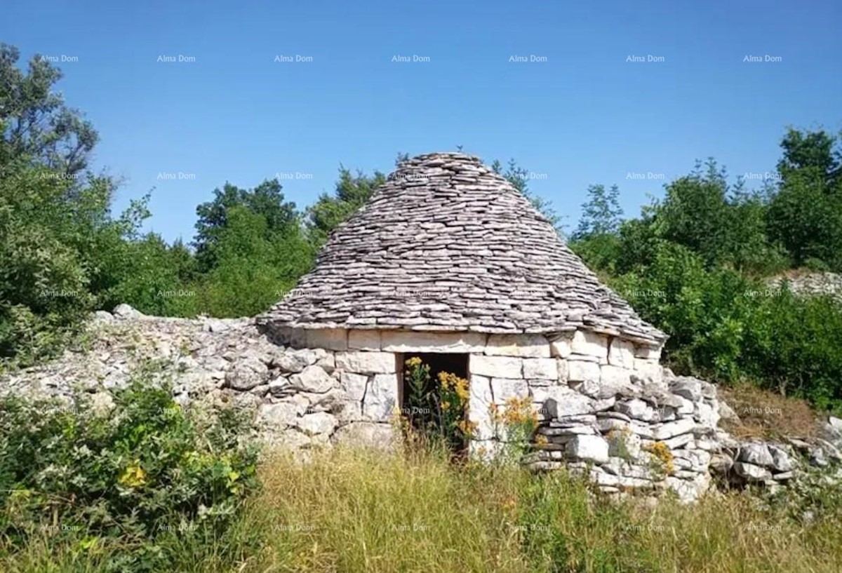 Terreno agricolo Vodnjan