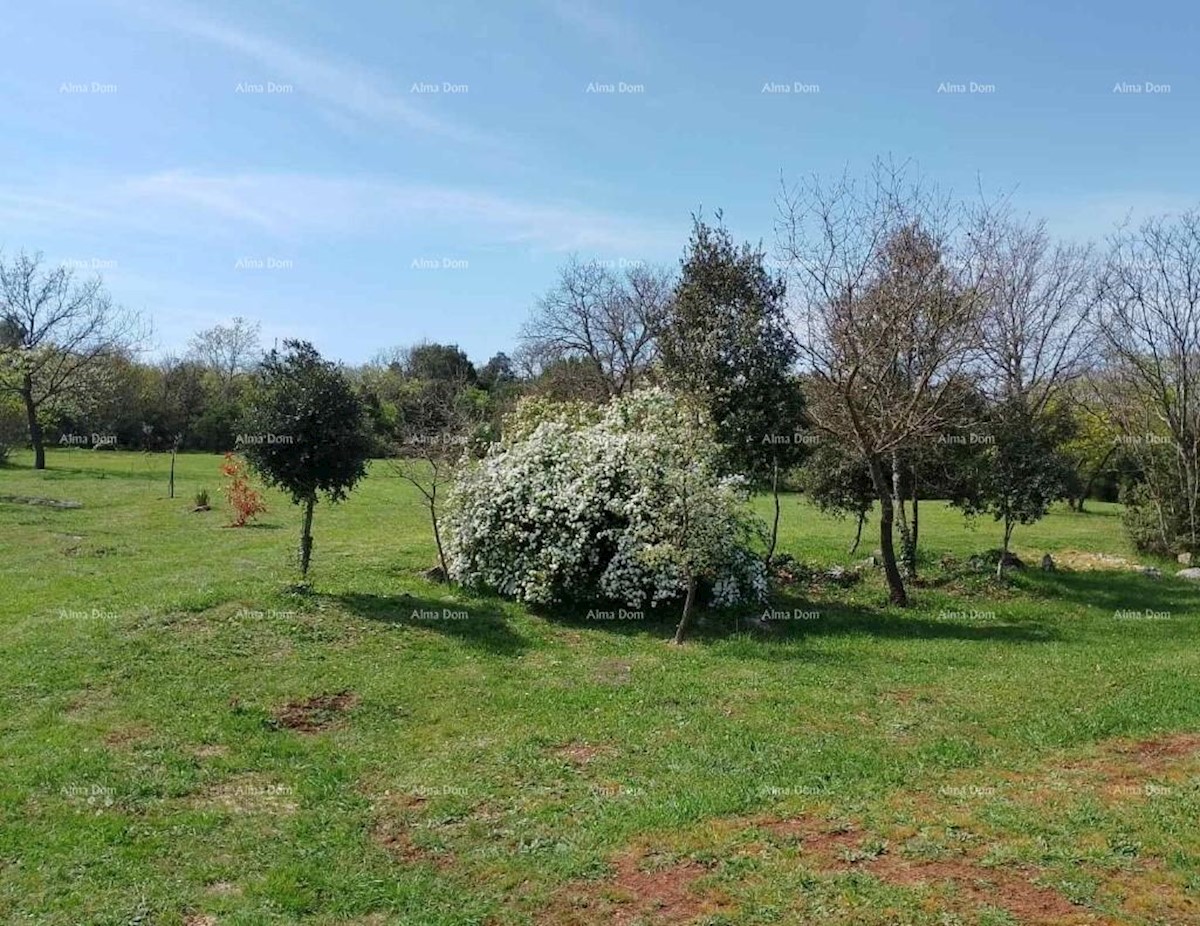 Terreno agricolo Rovinj