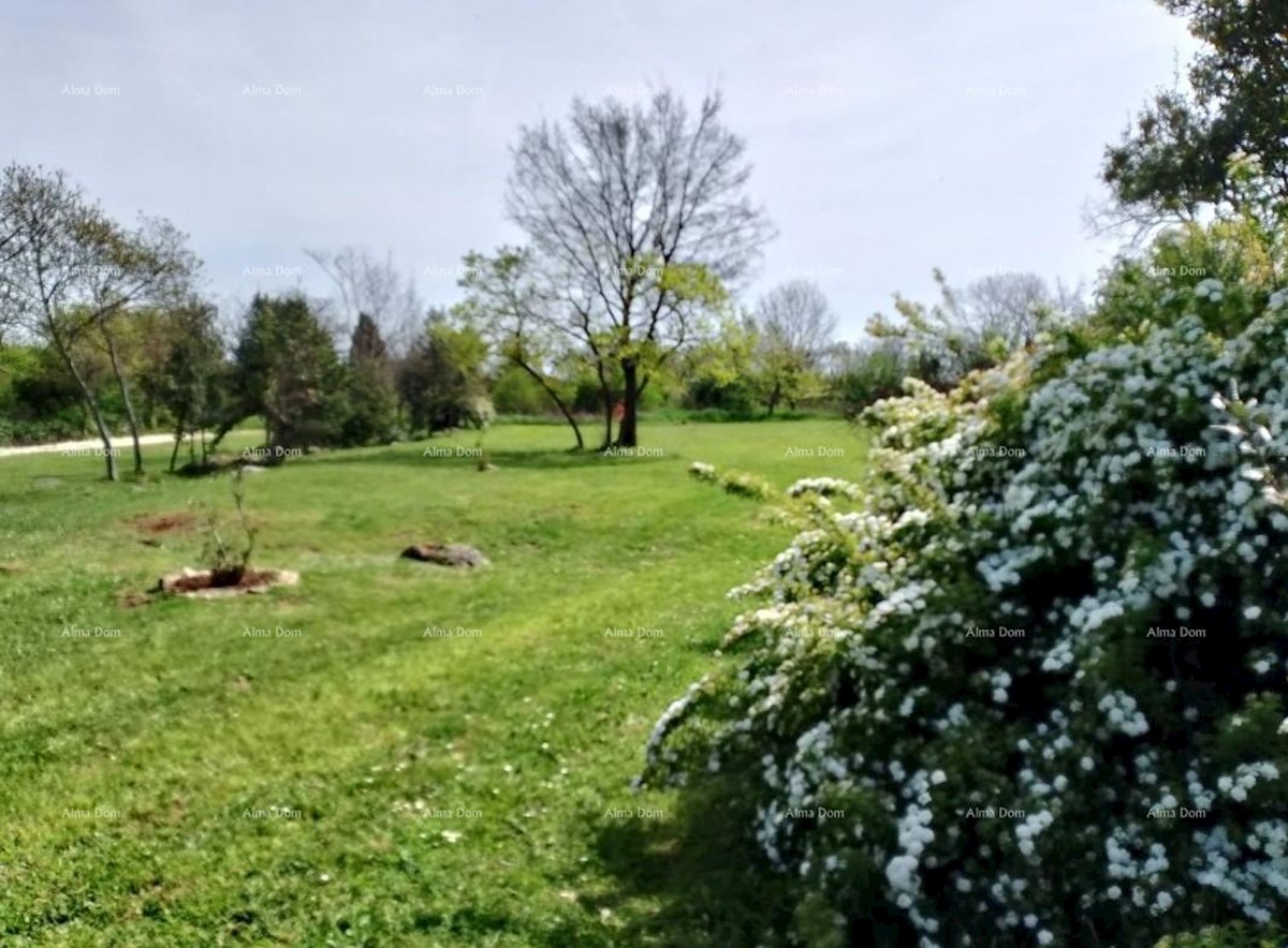 Terreno agricolo Rovinj