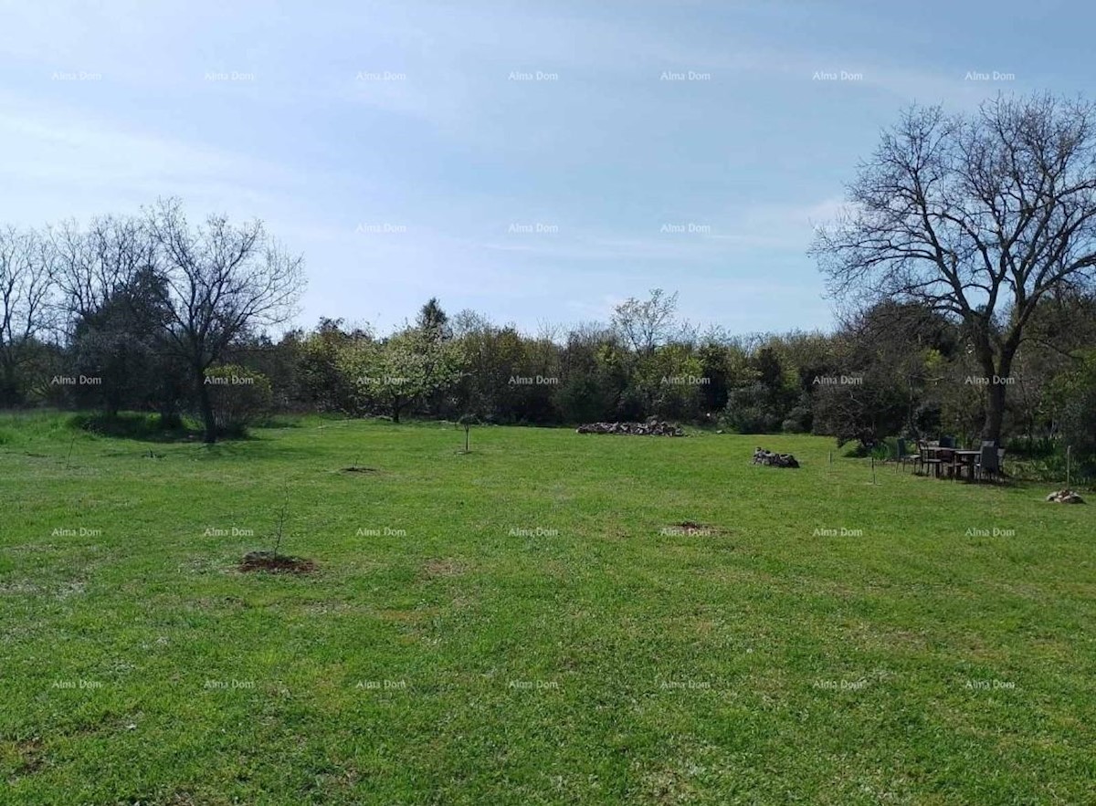 Terreno agricolo Rovinj