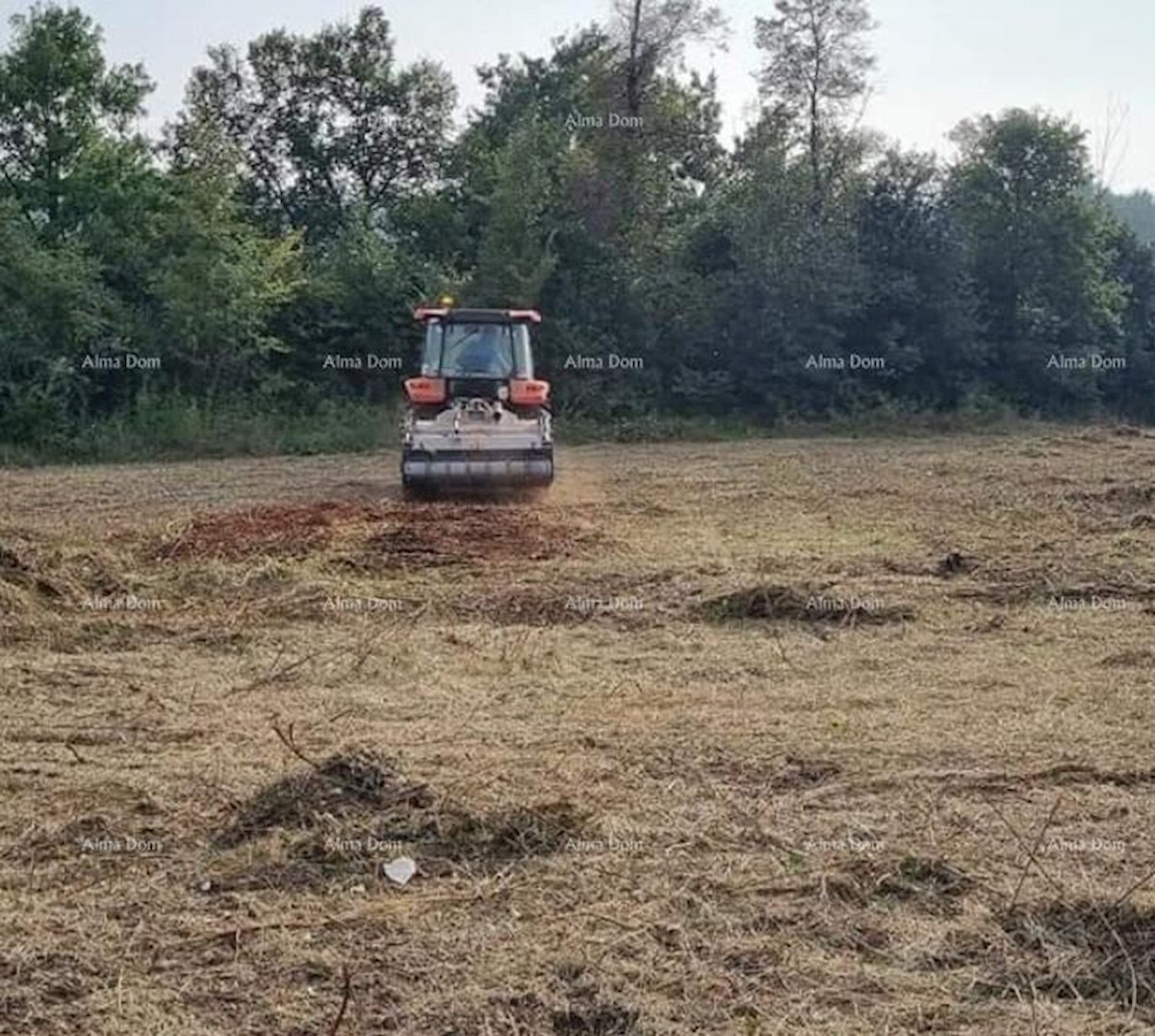 Verteneglio. Terreno edificabile.