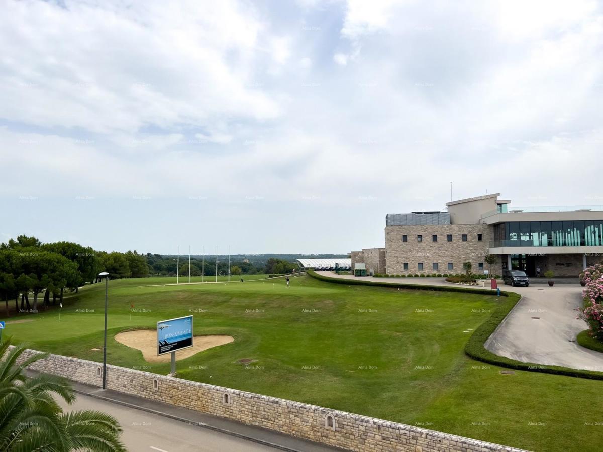 Umago, Crveni Vrh, appartamento Alberi con vista sul mare aperto.