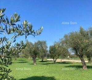 Terreno agricolo Fažana