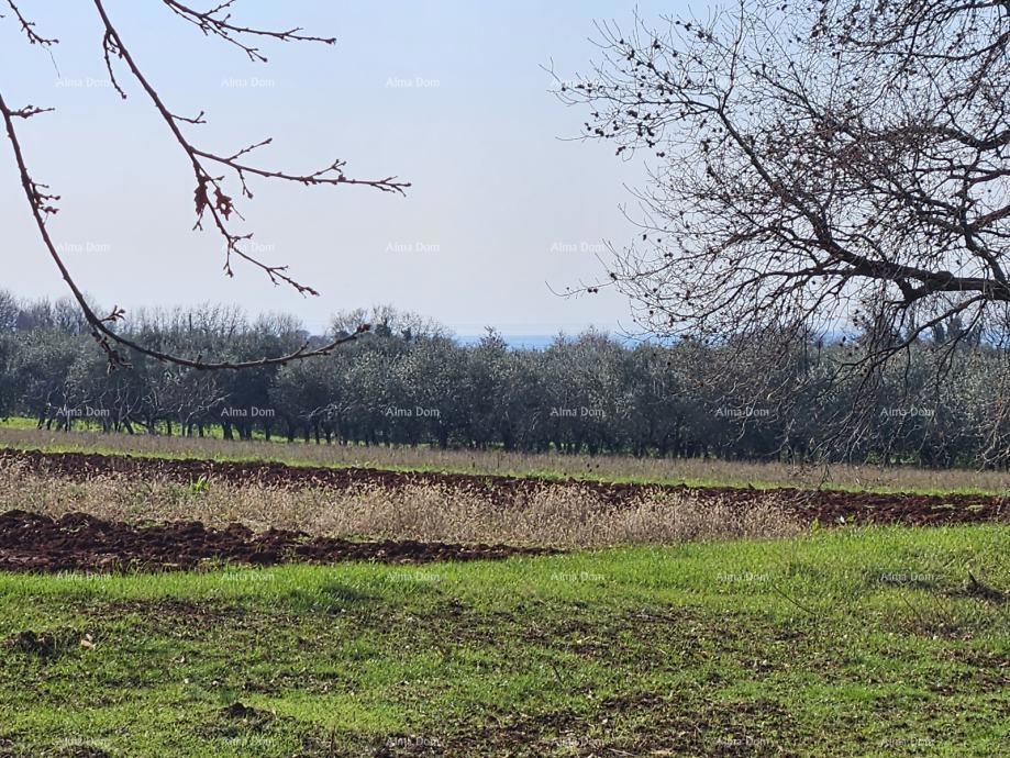 Terreno edificabile Novigrad