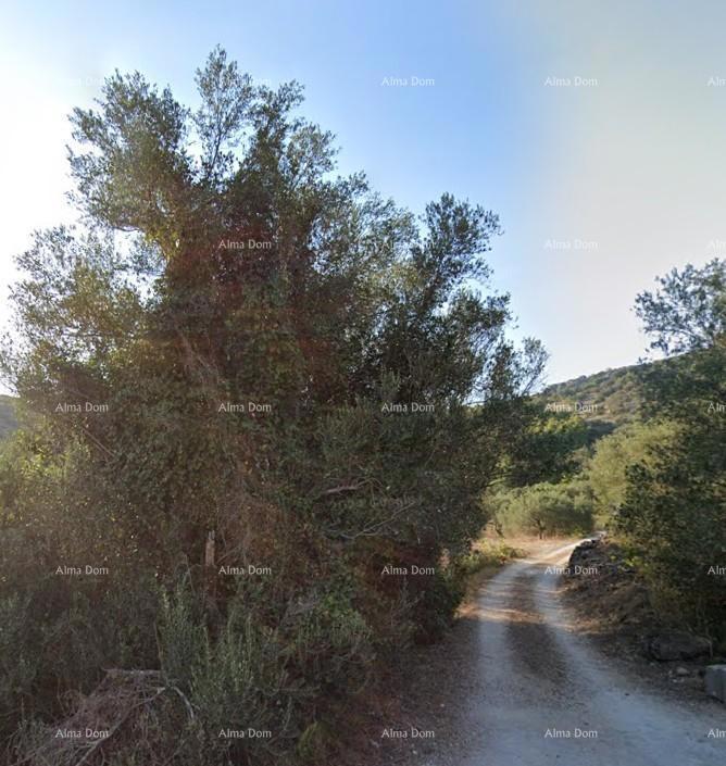 Vendita di terreni edificabili, Vela Luka, Korčula!