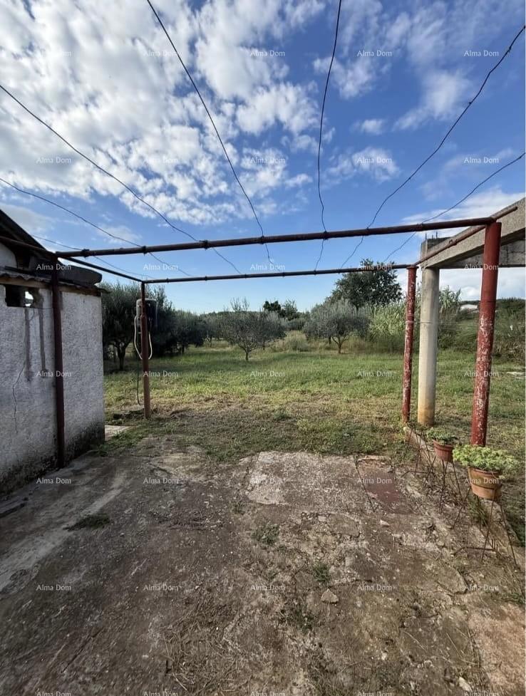 Vendita di due case legalizzate più piccole con terreno