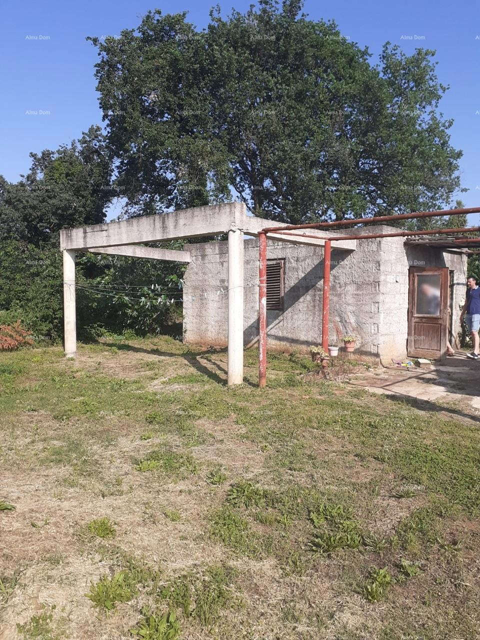 Vendita di due case legalizzate più piccole con terreno