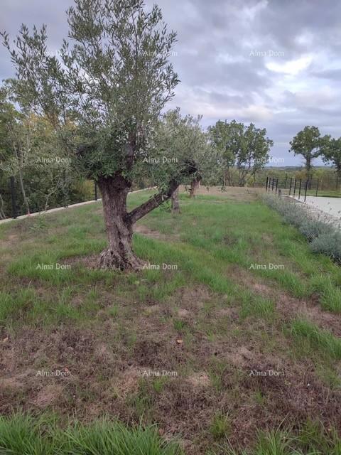 Bella villa di lusso a Labin
