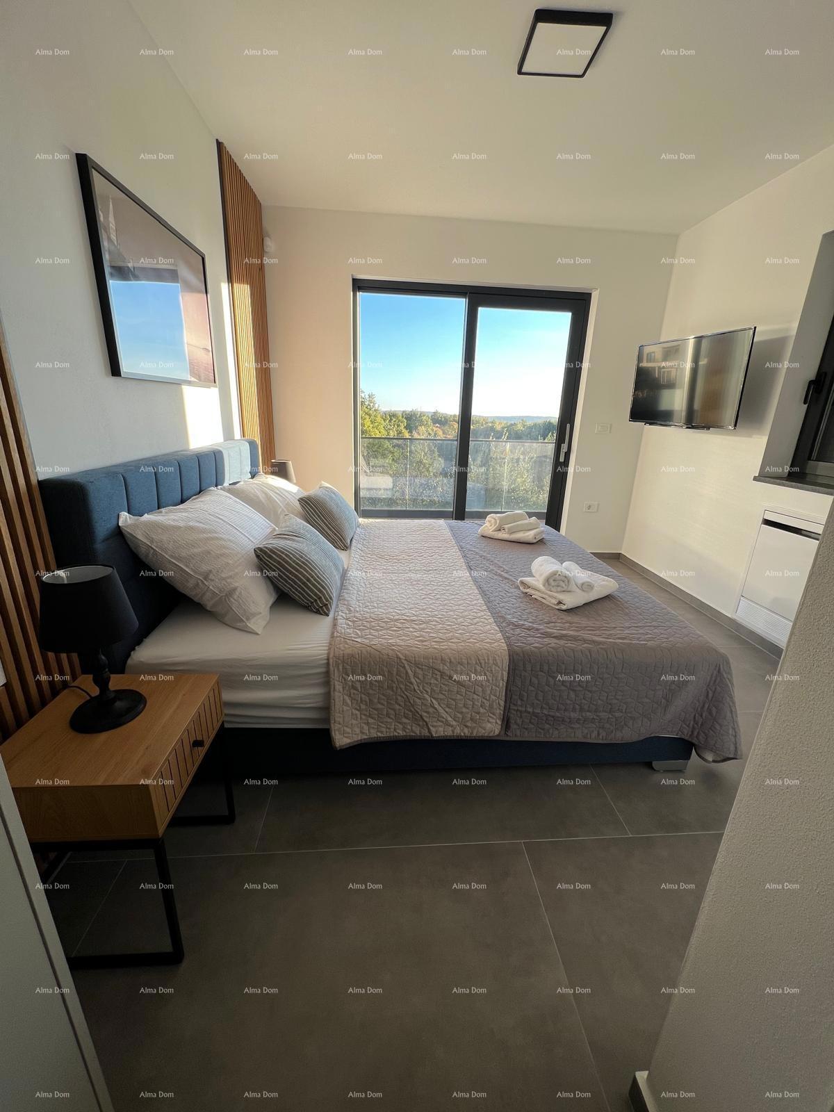 Vendita di una moderna villa con piscina, Svetvinčenat!