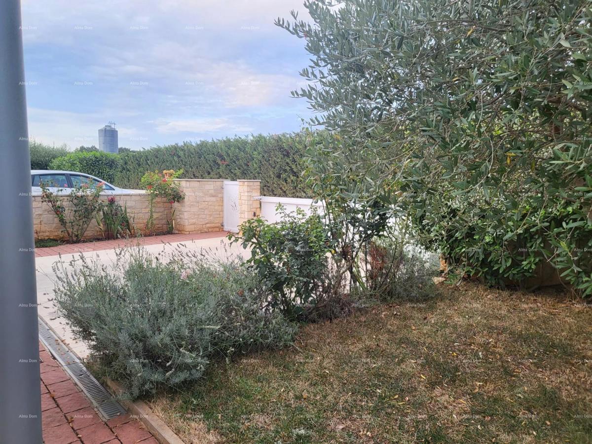 Cittanova, casa a un piano con piscina