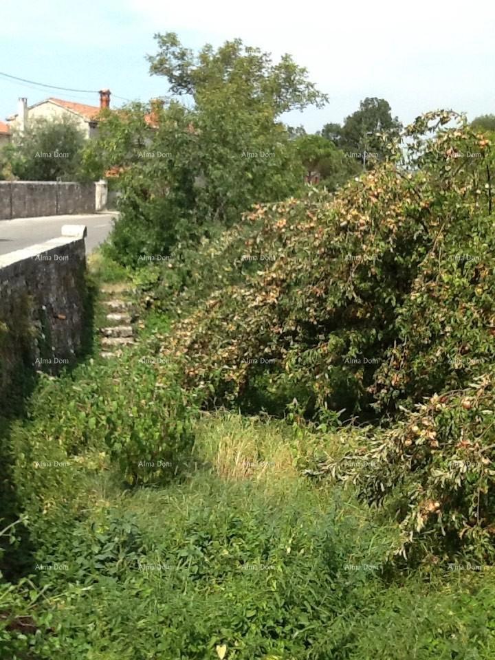 Sveti Petar in the Woods, casa e terreno