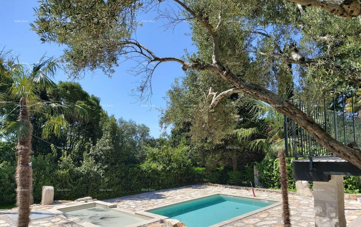 UMAG – Casa con piscina e tre appartamenti separati