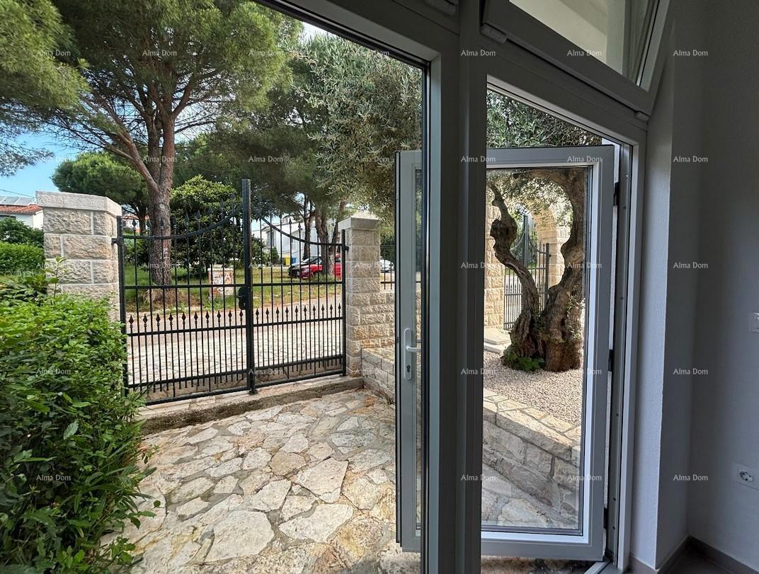 UMAG – Casa con piscina e tre appartamenti separati