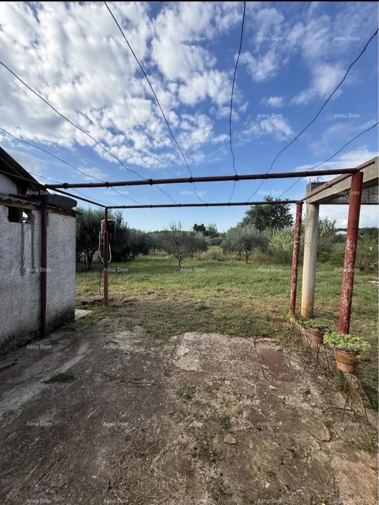 Vendita di due case legalizzate più piccole con terreno