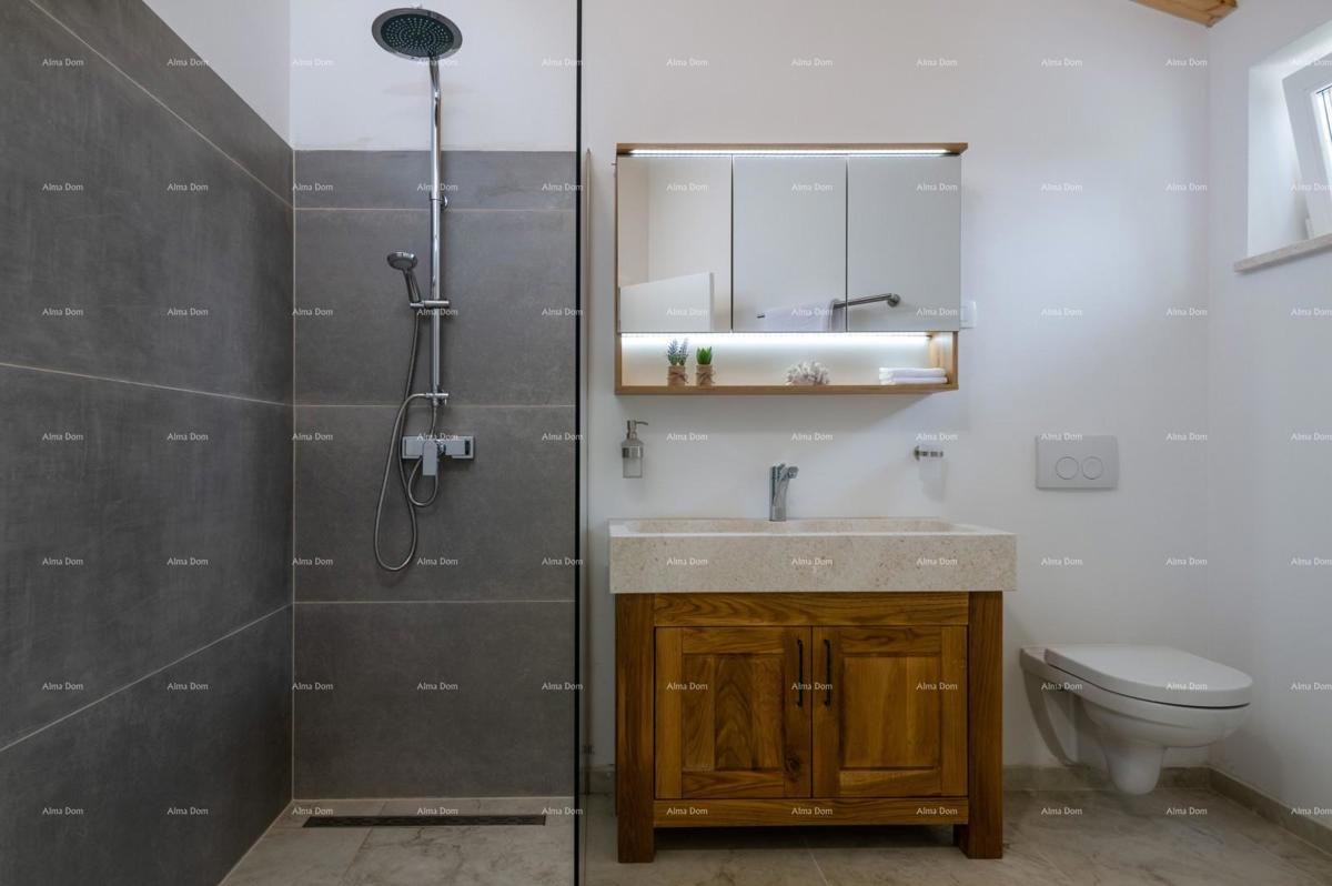 Vendita - villa di lusso con piscina e jacuzzi su ampio terreno, Marčana!