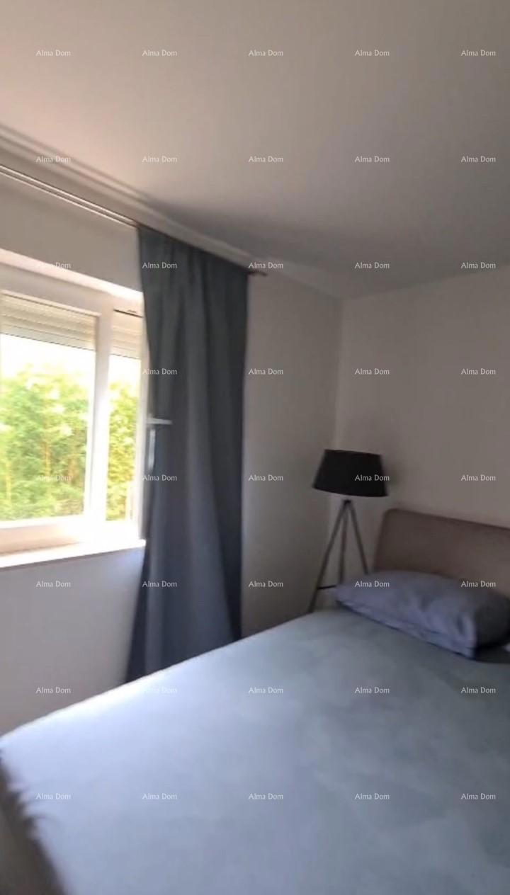 Appartamento Novigrad