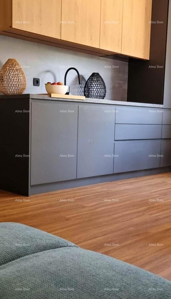 Appartamento Novigrad