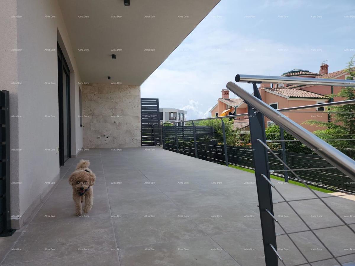 Lussuoso appartamento in nuova costruzione con piscina--Banjole, Volme!