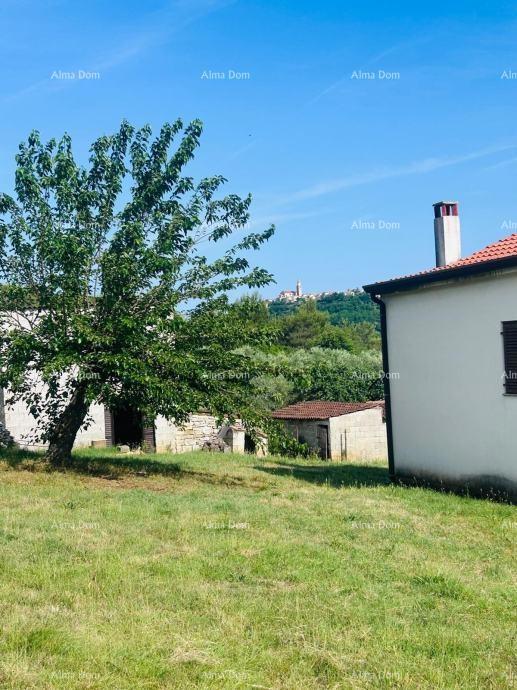 Buje – Casa indipendente con uliveto e terreno edificabile