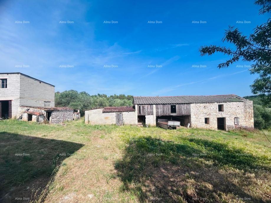 Buje – Casa indipendente con uliveto e terreno edificabile