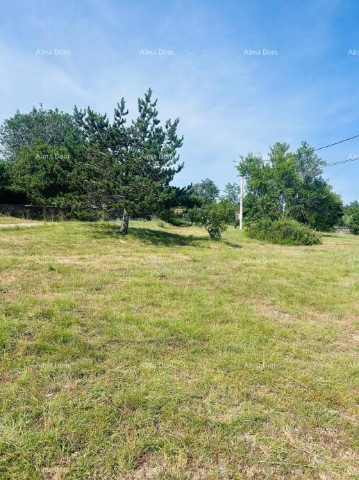 Buje – Casa indipendente con uliveto e terreno edificabile