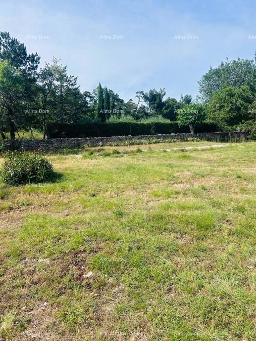 Buje – Casa indipendente con uliveto e terreno edificabile