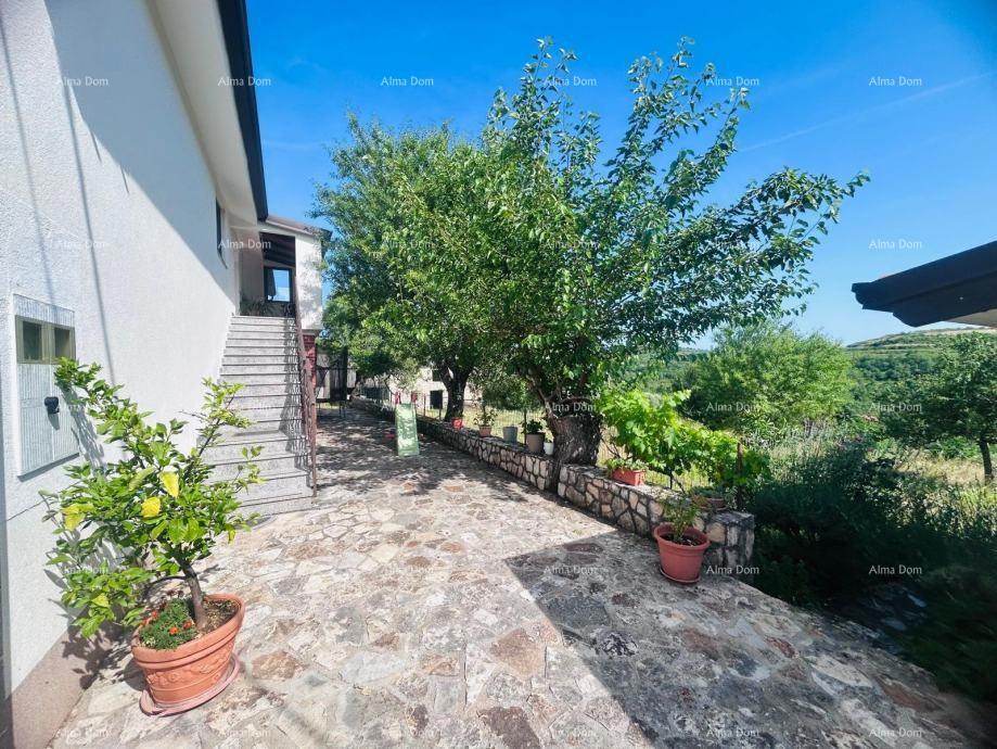 Buje – Casa indipendente con uliveto e terreno edificabile