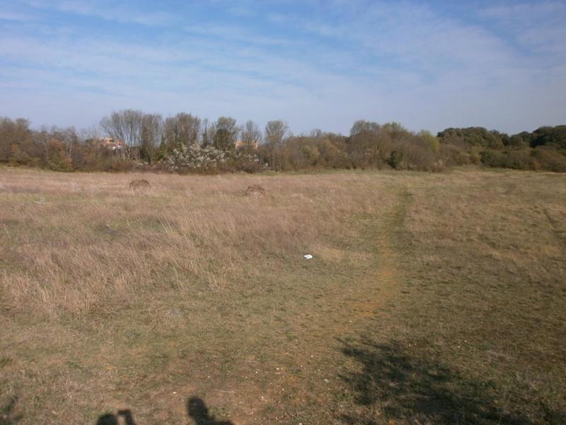 PULA - Grande terreno per la costruzione di una casa famigliare o la villa.