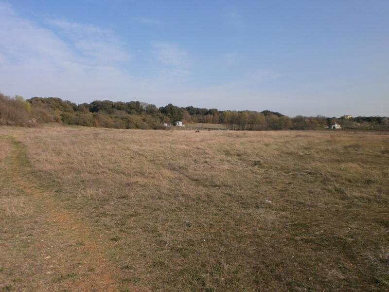 PULA - Grande terreno per la costruzione di una casa famigliare o la villa.