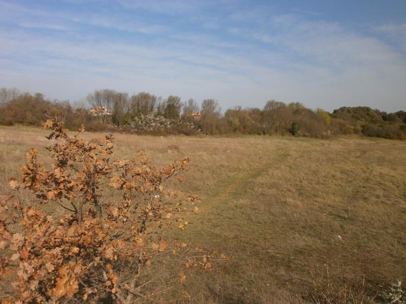 PULA - Grande terreno per la costruzione di una casa famigliare o la villa.