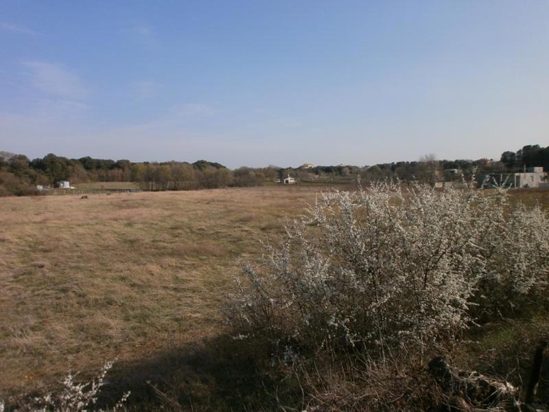 PULA - Grande terreno per la costruzione di una casa famigliare o la villa.