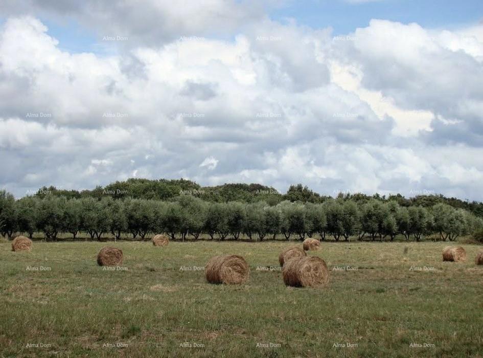 Opportunità di investimento! Vendita di terreno edificabile per uso turistico-ricettivo - Zona T, Ližnjan!