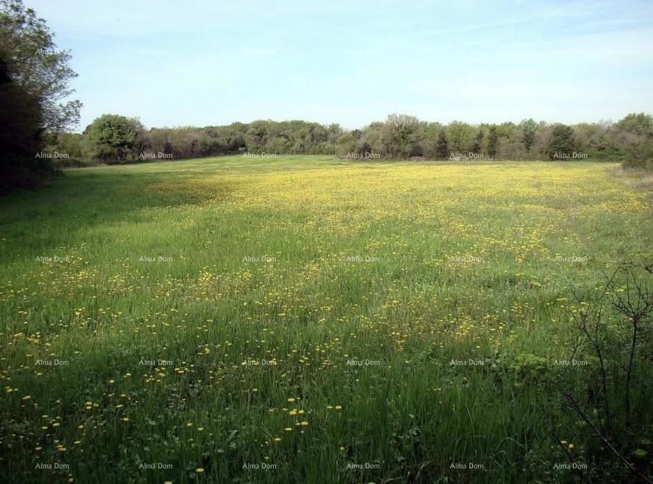 Opportunità di investimento! Vendita di terreno edificabile per uso turistico-ricettivo - Zona T, Ližnjan!