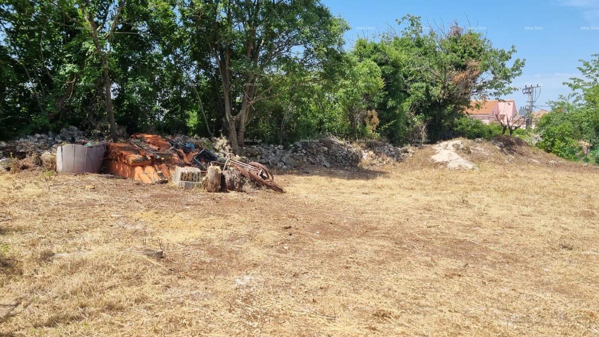 Marčana Cokuni  TERRENO