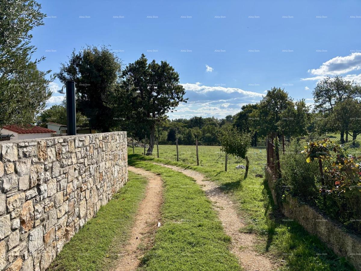 Marčana Cokuni  TERRENO