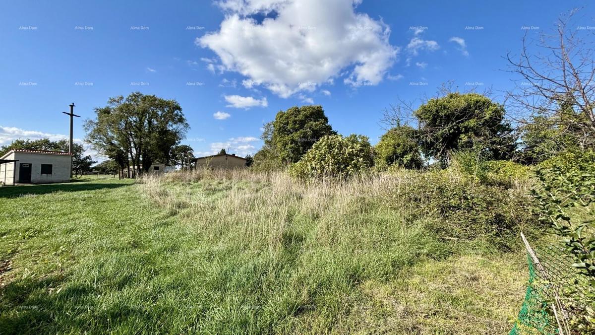 Marčana Cokuni  TERRENO