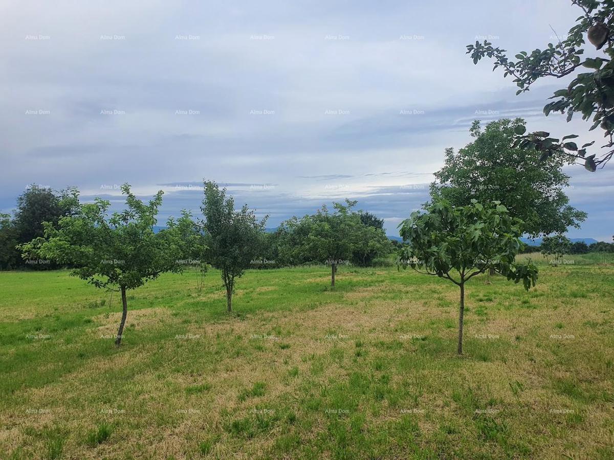 Casa familiare con garage, cantina e possibilità di acquisto di terreno aggiuntivo – 30 min da Pola